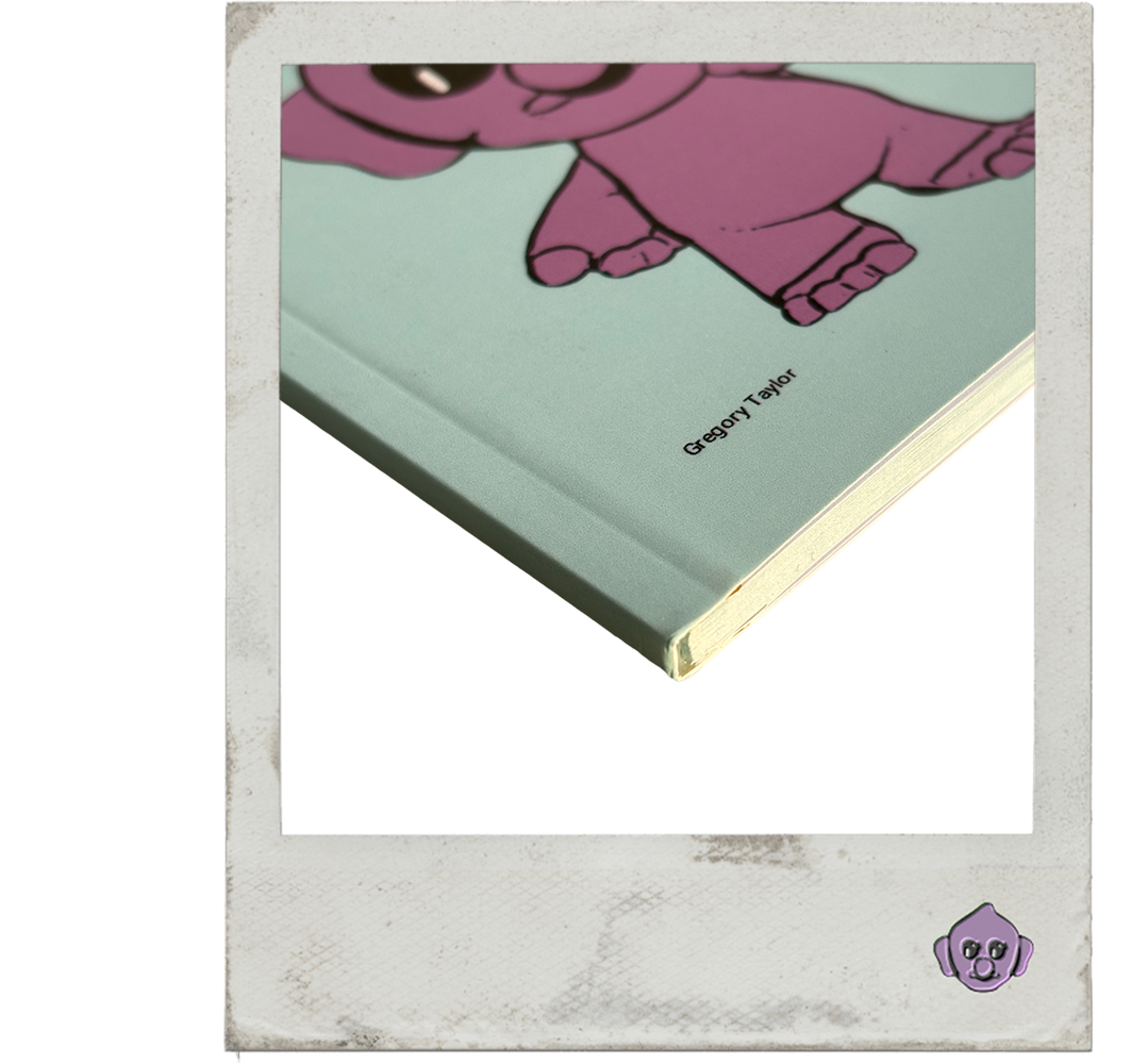 Trollibu's Lost Bump (Norwegian Soft Cover)